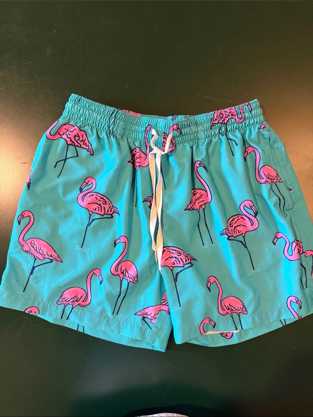 Men's Chubbies Swim Trunks Size M